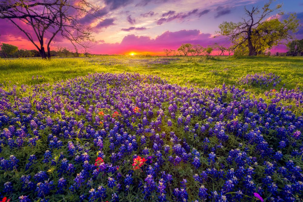Picturesque landscape at Hill Country