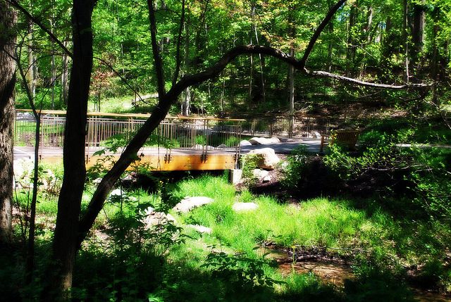 Nature hiking trail at Hill and Dales MetroPark