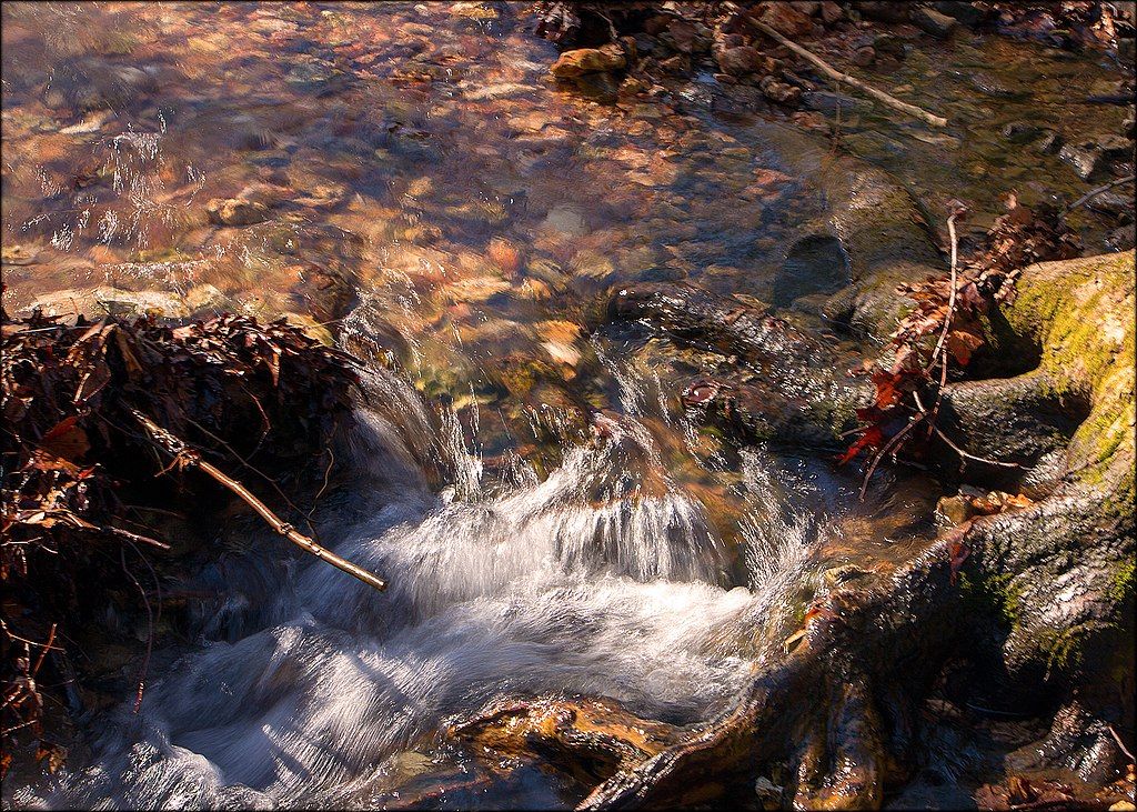 Stream flowing through the Hobbs State Park-Conservation Area