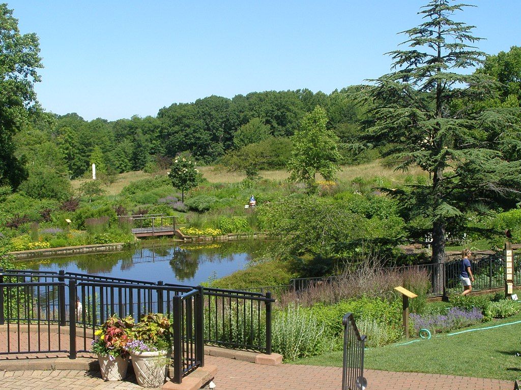 Pond at Holden Arboretum Escapade