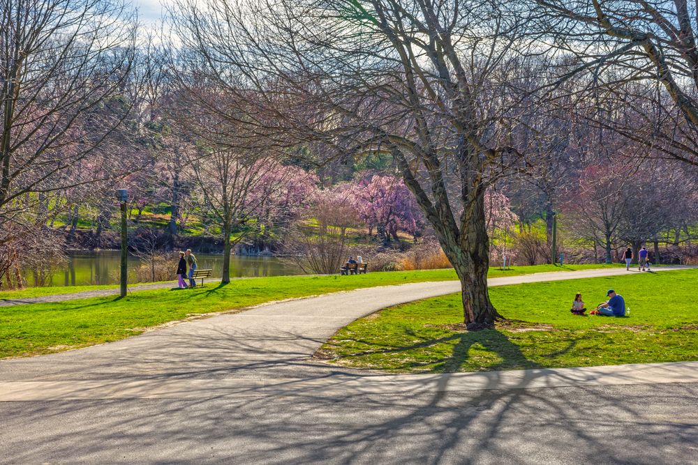People relaxing at the Holmdel Park