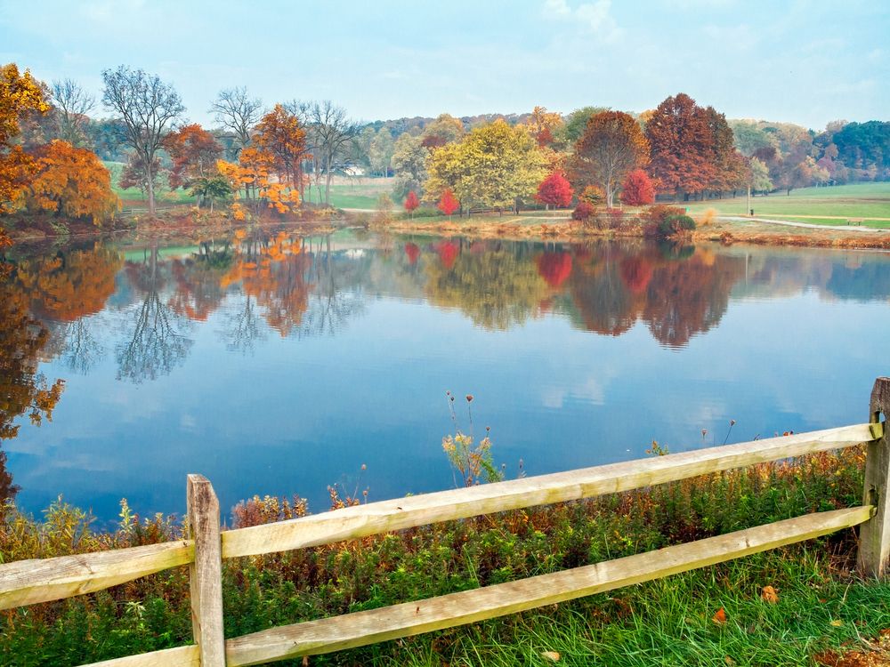 Stunning view of the pond at Holmdel Park