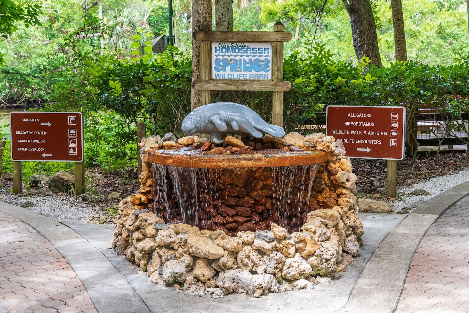 15 Best Things to Do in Homosassa Springs, FL Travel Lens