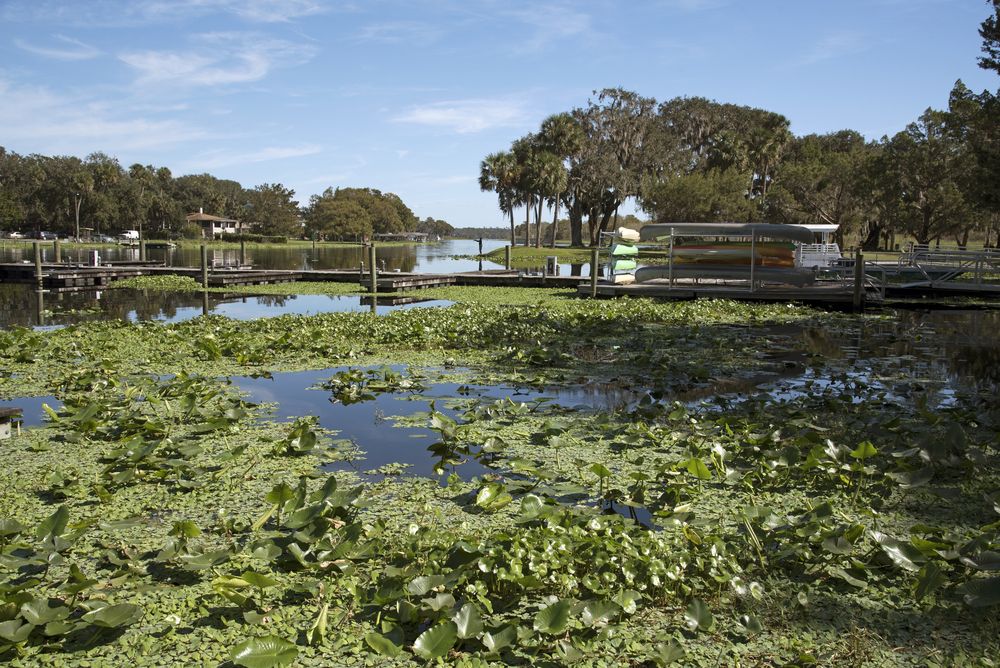 Picturesque view of Hontoon Island State Park