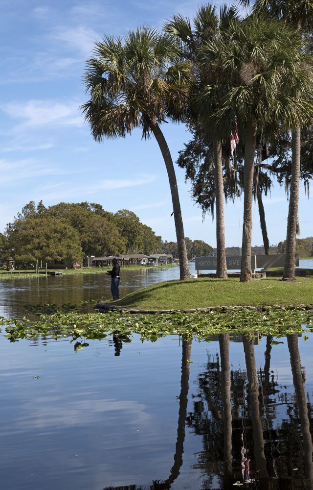 Scenic view of palm trees at Hontoon Island State Park