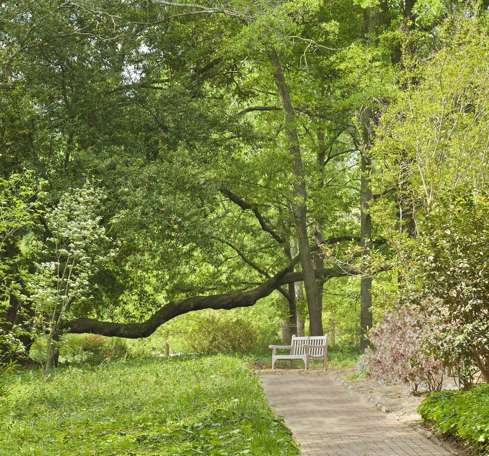 Scenic view of Hopelands Gardens