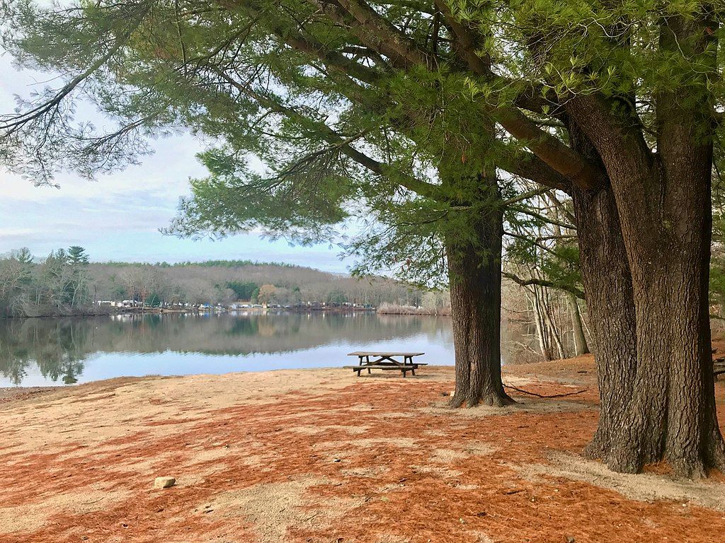 Picnic area at Hopeville Pond State Park