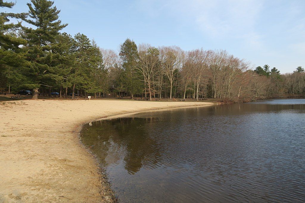 Shoreline of Hopeville Pond State Park