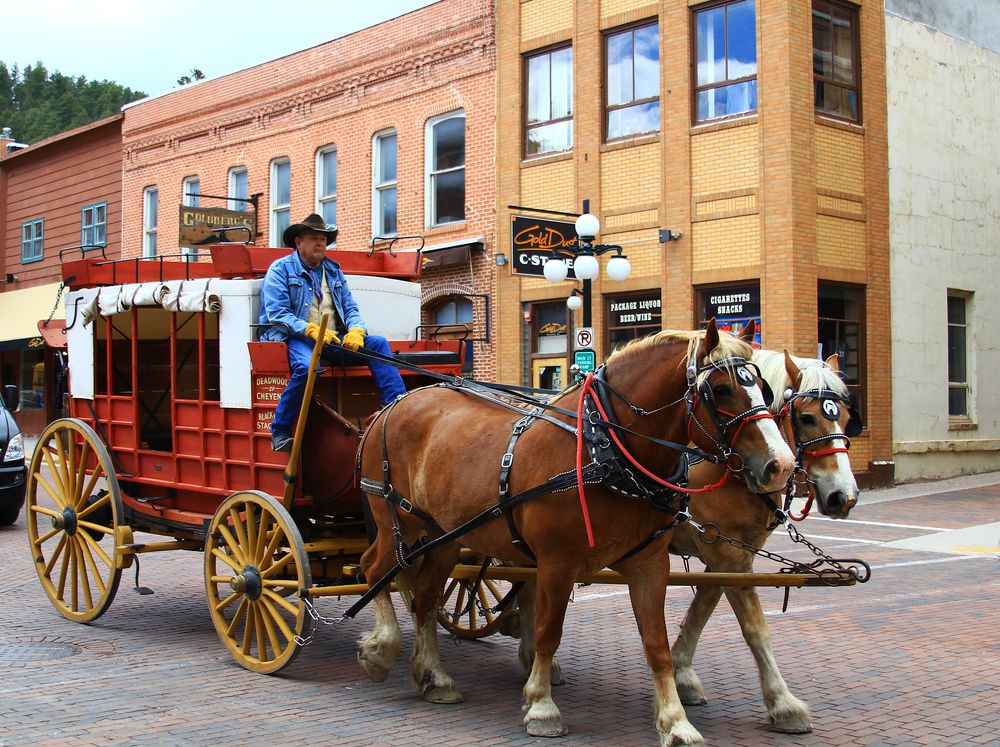 Horse-back tour in Deadwood