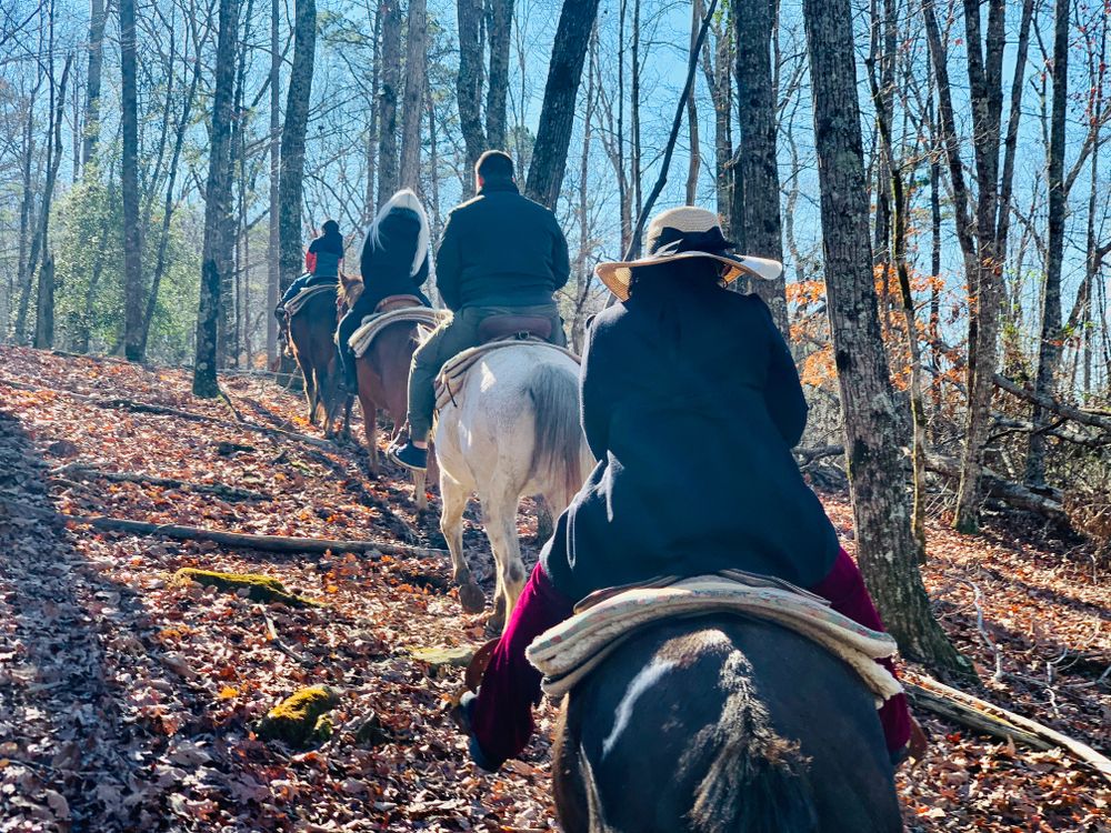 Horseback ride in Dahlonega