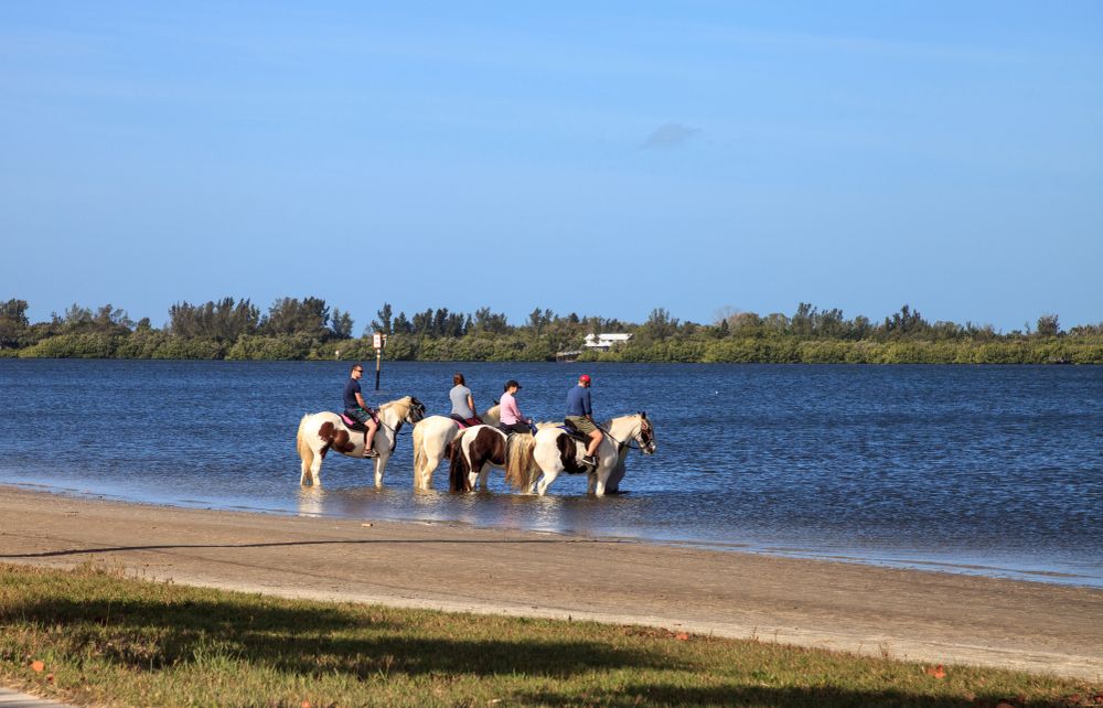 Horseback Ride in Anna Maria Island