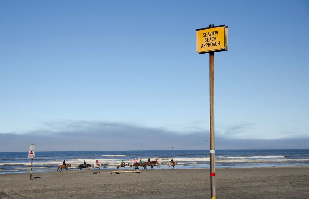 Horseback ride at the beach
