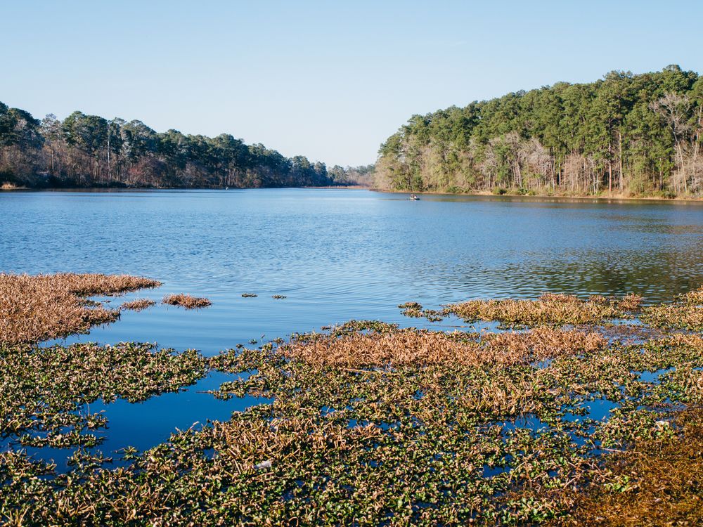 The waters of Huntsville State Park