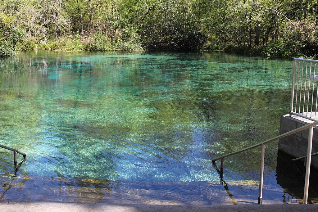 View of Ichetucknee springs state Park
