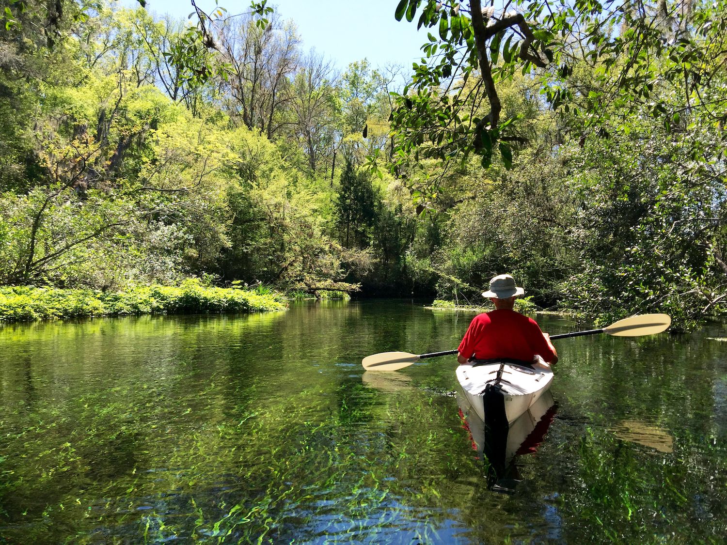 Kayaking on Ichetucknee Springs State Park