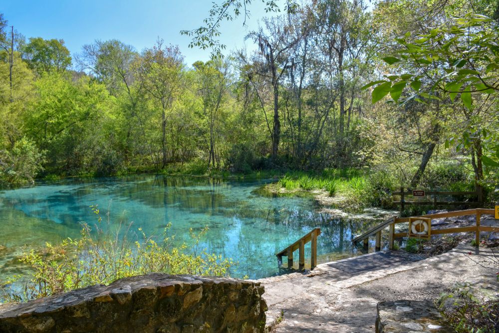 Pristine water at Ichetucknee Springs State Park