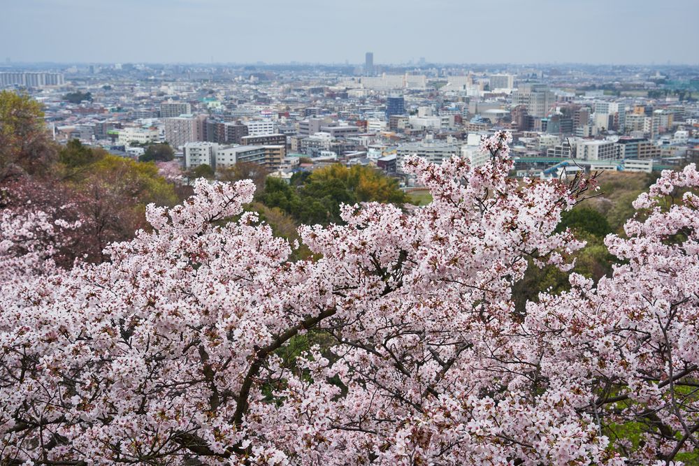 Ikuta Ryokuchi Park