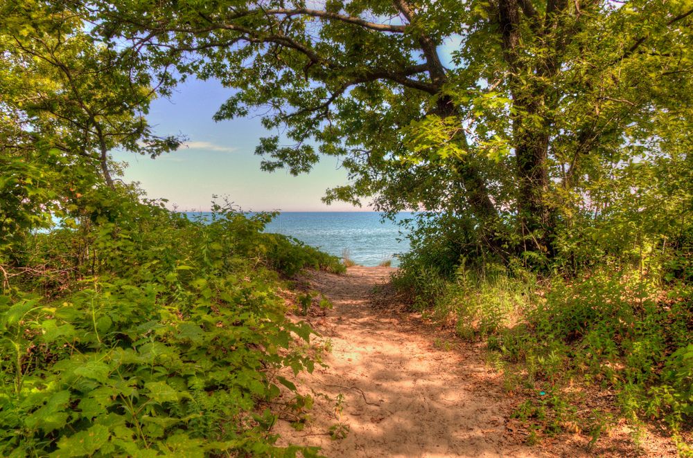 Scenic view of Illinois Beach State Park