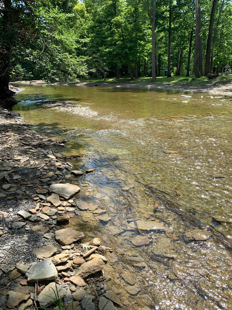 Grand River flowing through the Indian Point Park