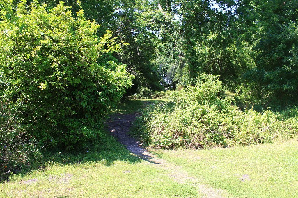 The grounds of Indian Shell Mound Park