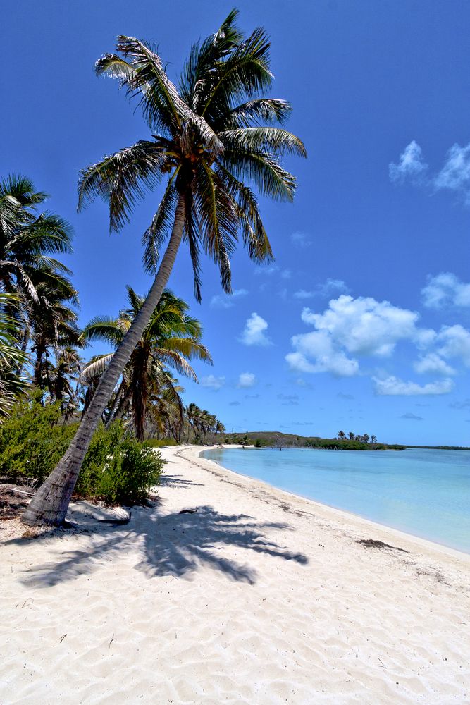 Isla Contoy in Isla Mujeres