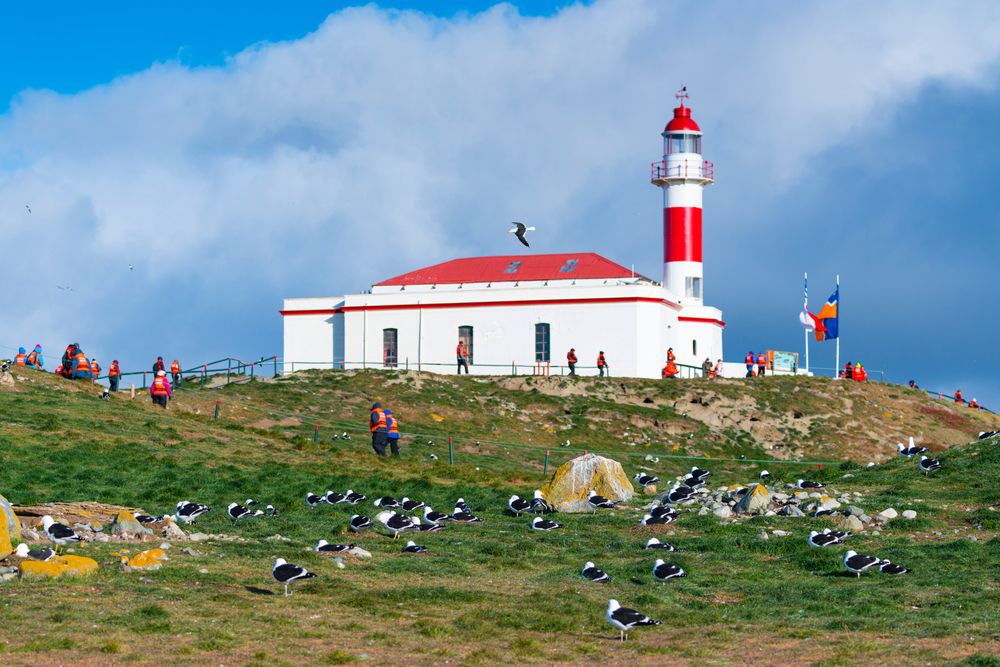 Isla Magdalena
