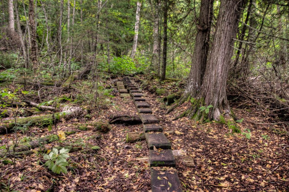 Isle Royale National Park