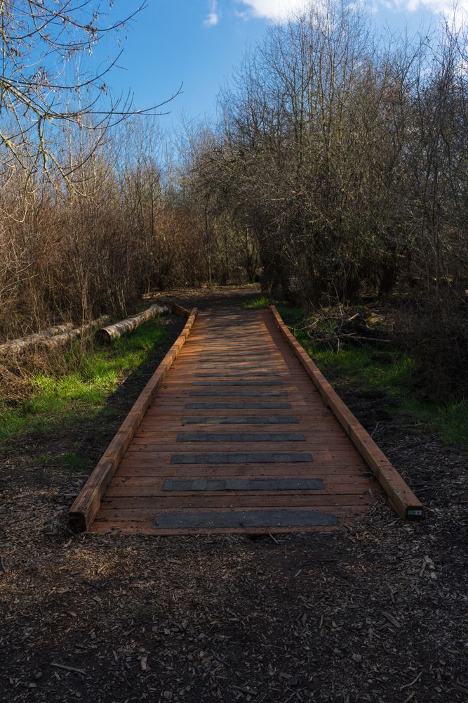 Narrow walkway at Jackson Bottom Wetlands Preserve