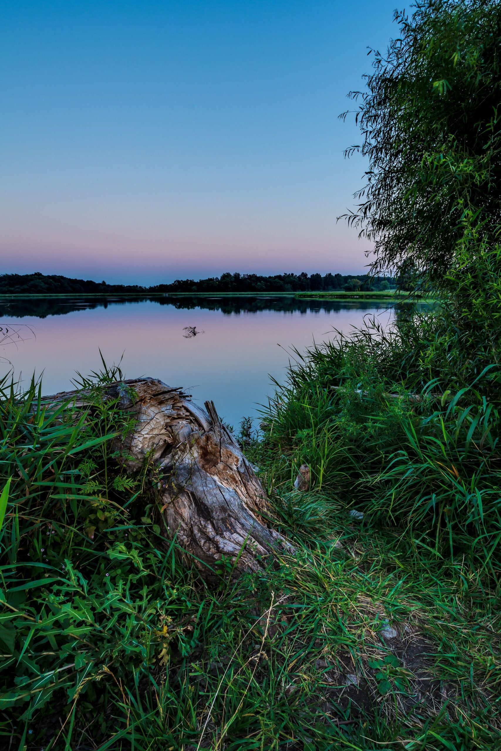 James A. Reed Memorial Wildlife Area