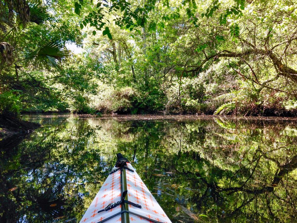 Kayaking at James E. Grey Preserve