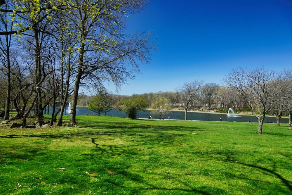 Scenic view of James J. Braddock Park