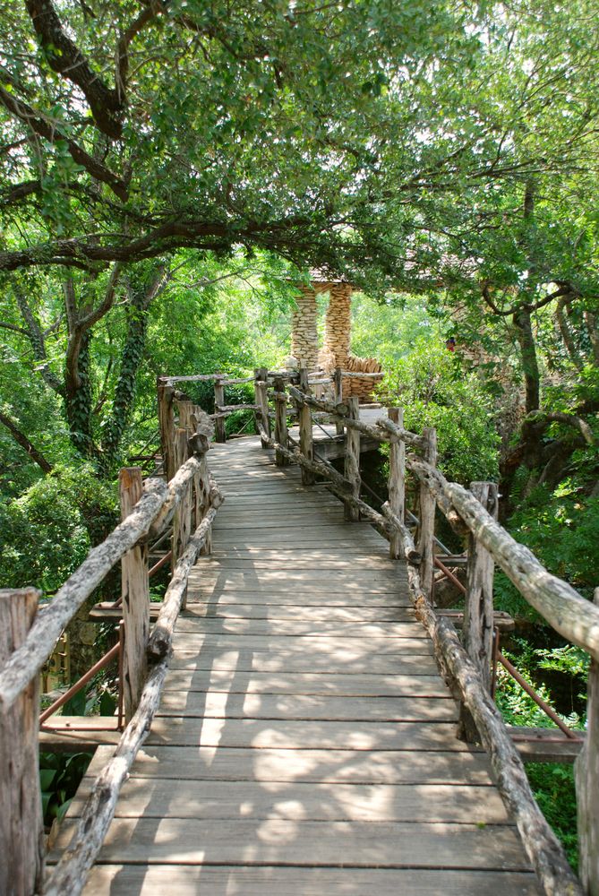 Wooden bridge at Japanese Tea Garden