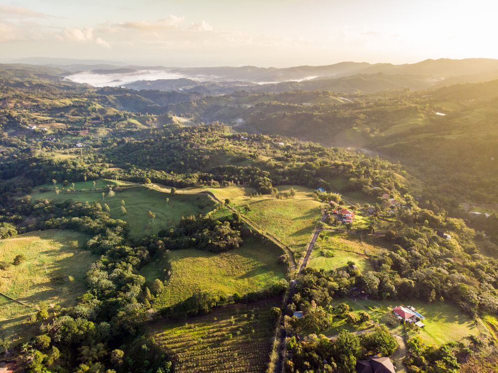 Aerial view of the lush greenery at Jarabacoa