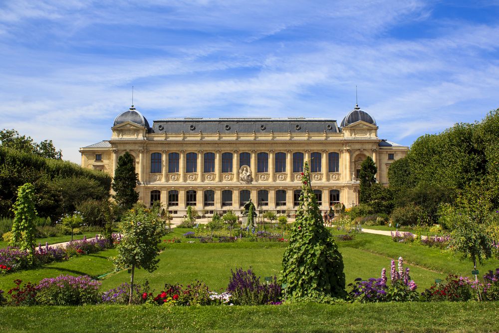 Jardin Des Plantes