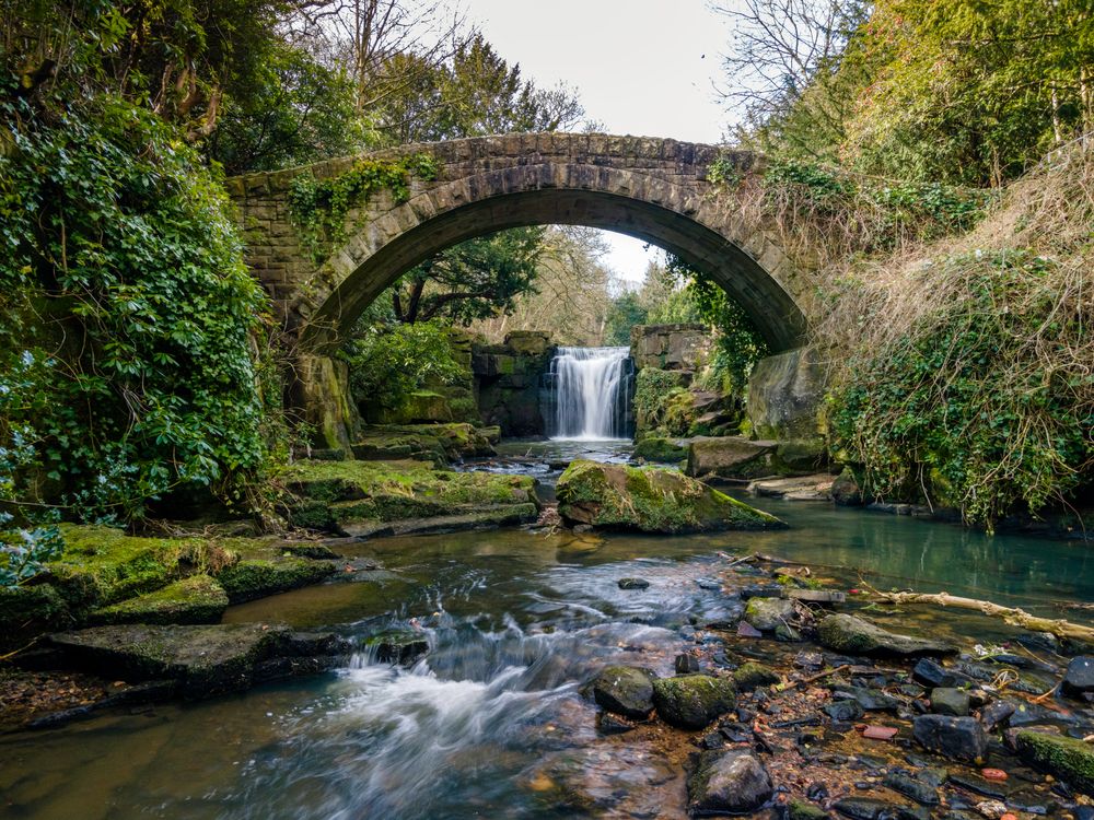 Waterfall in Jesmond Dene