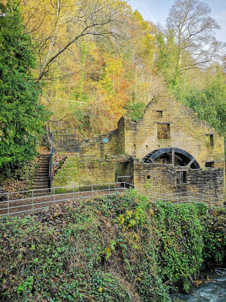 Jesmond Dene