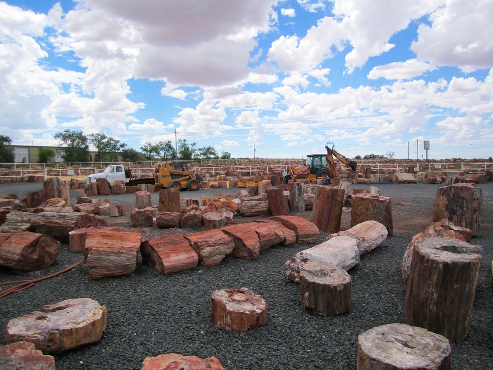 Jim Gray's Petrified Wood Co at Holbrook, Arizona