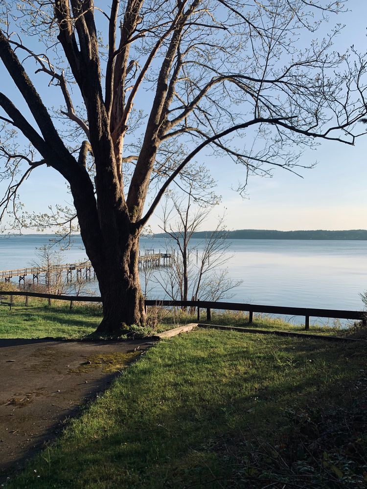 Scenic view of the Joemma Beach State Park