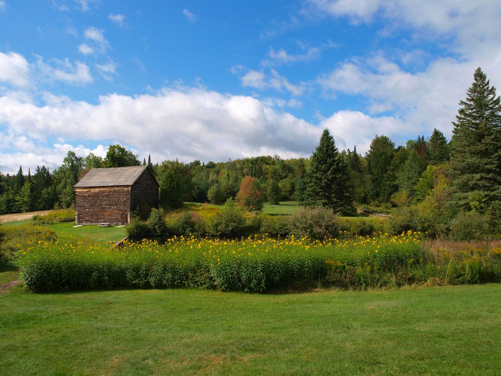 John Brown Farm State Historic Site surrounded by lush green grass, trees and yellow flowers