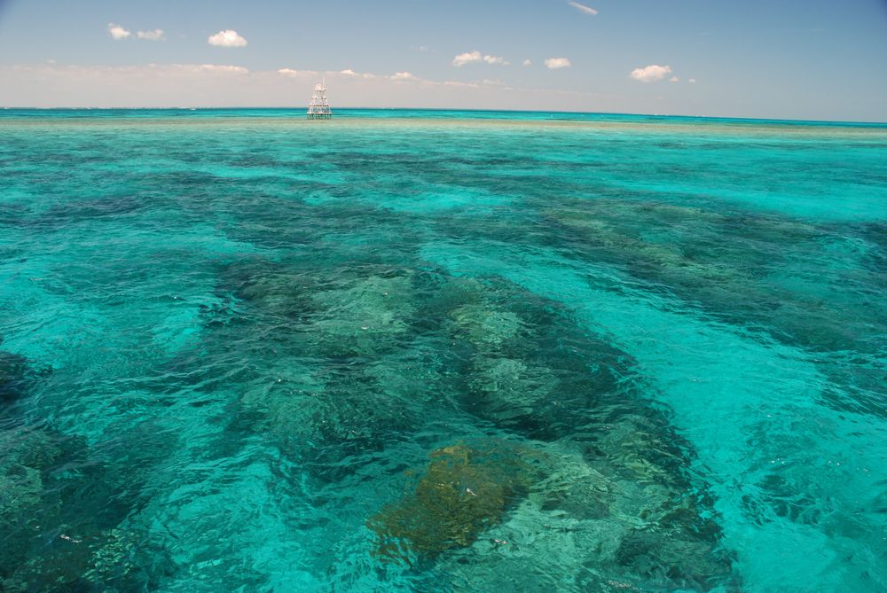 The waters of John Pennekamp Coral Reef State Park