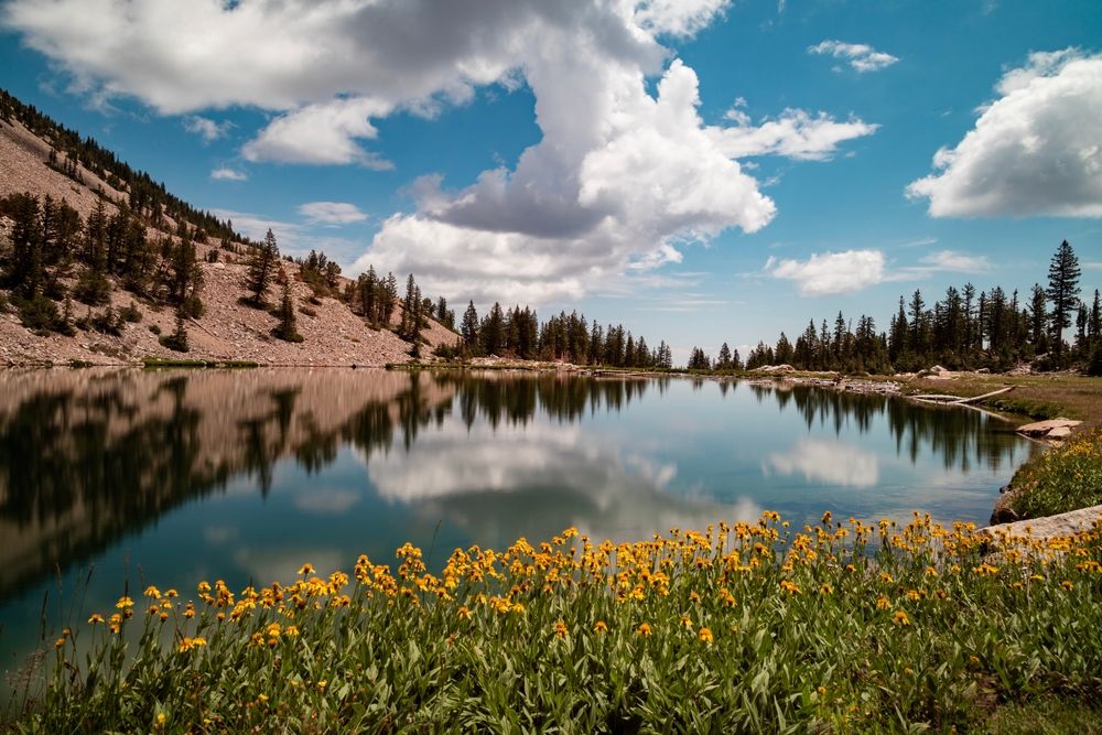 Stunning view of the Johnson Lake