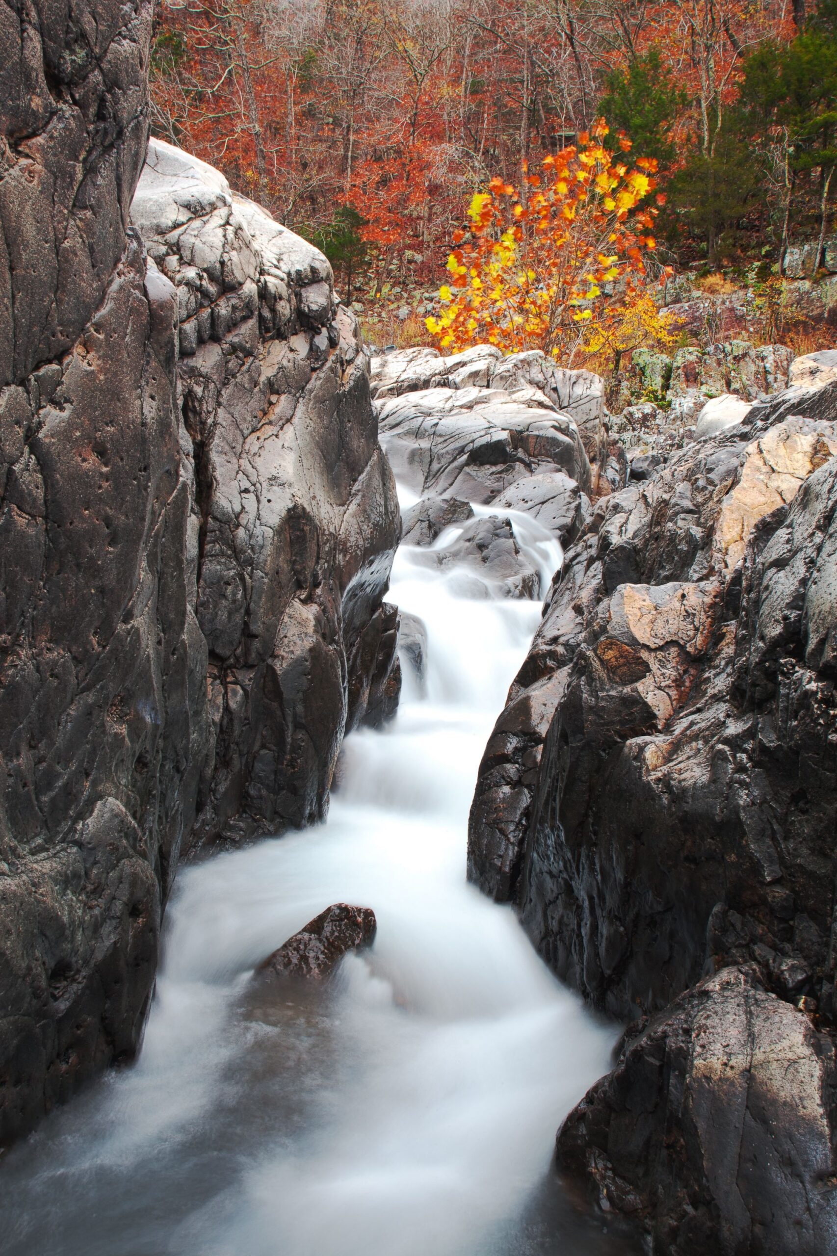 Johnson's Shut-Ins State Park