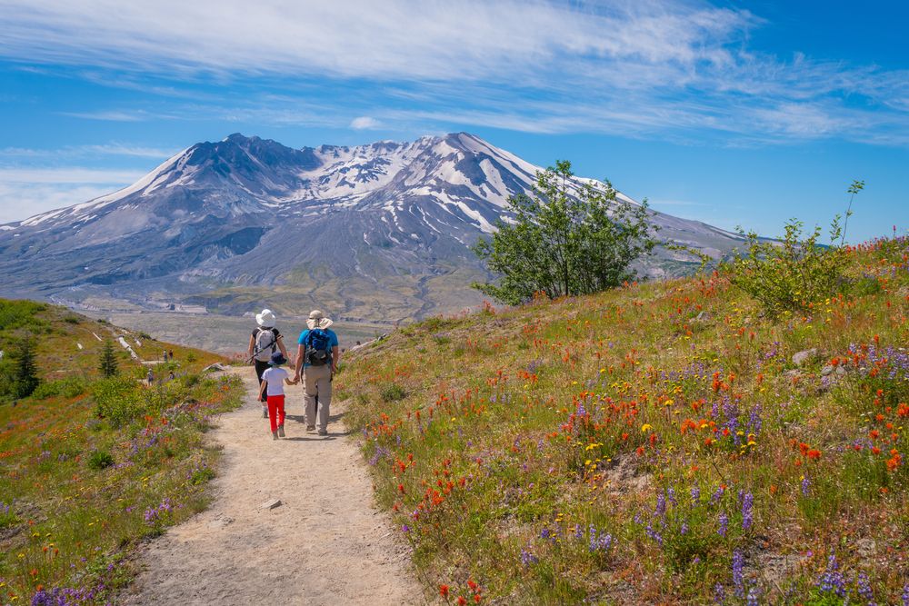 Trail along the Johnston Ridge Observatory