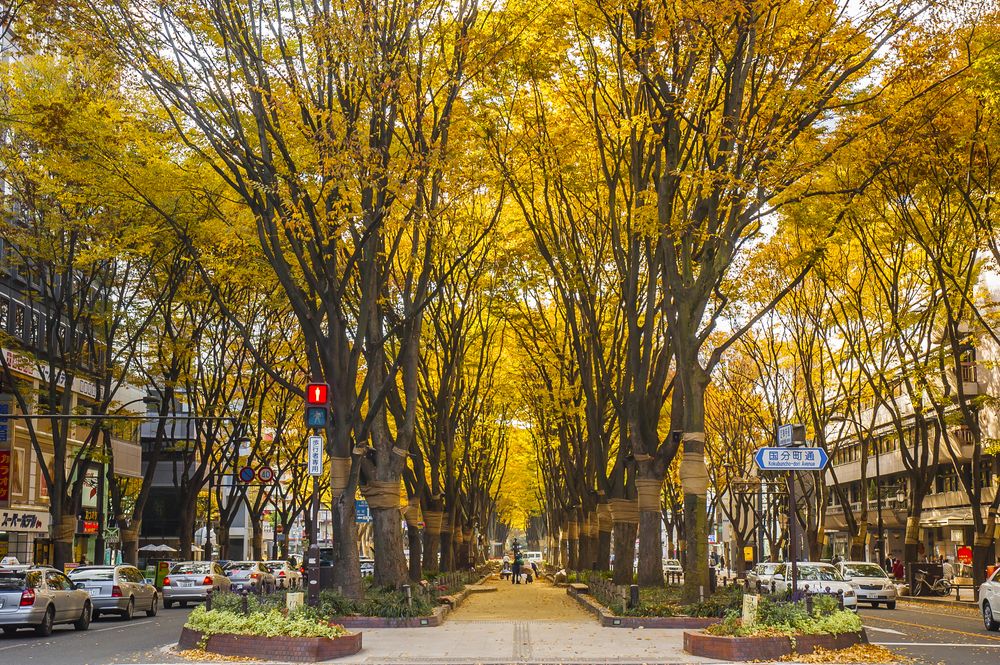 Jozenji Dori