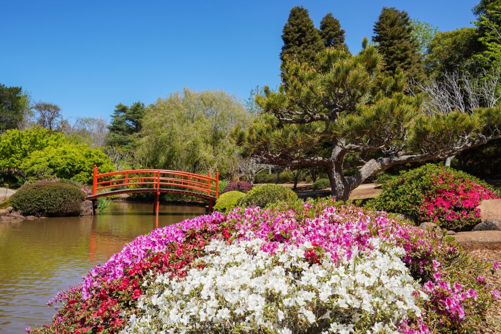 Ju Raku En Japanese Gardens