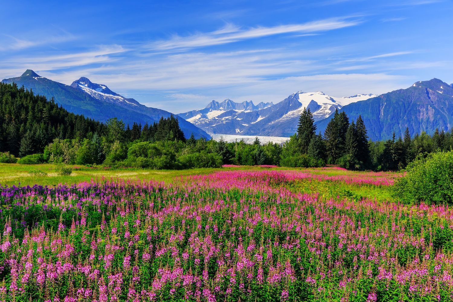 20 Best Things to Do in Juneau, AK