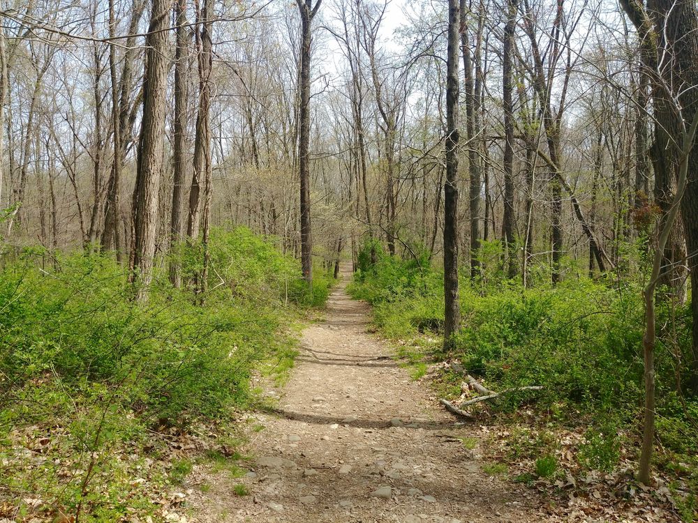 Hiking trail along the Kakiat Park