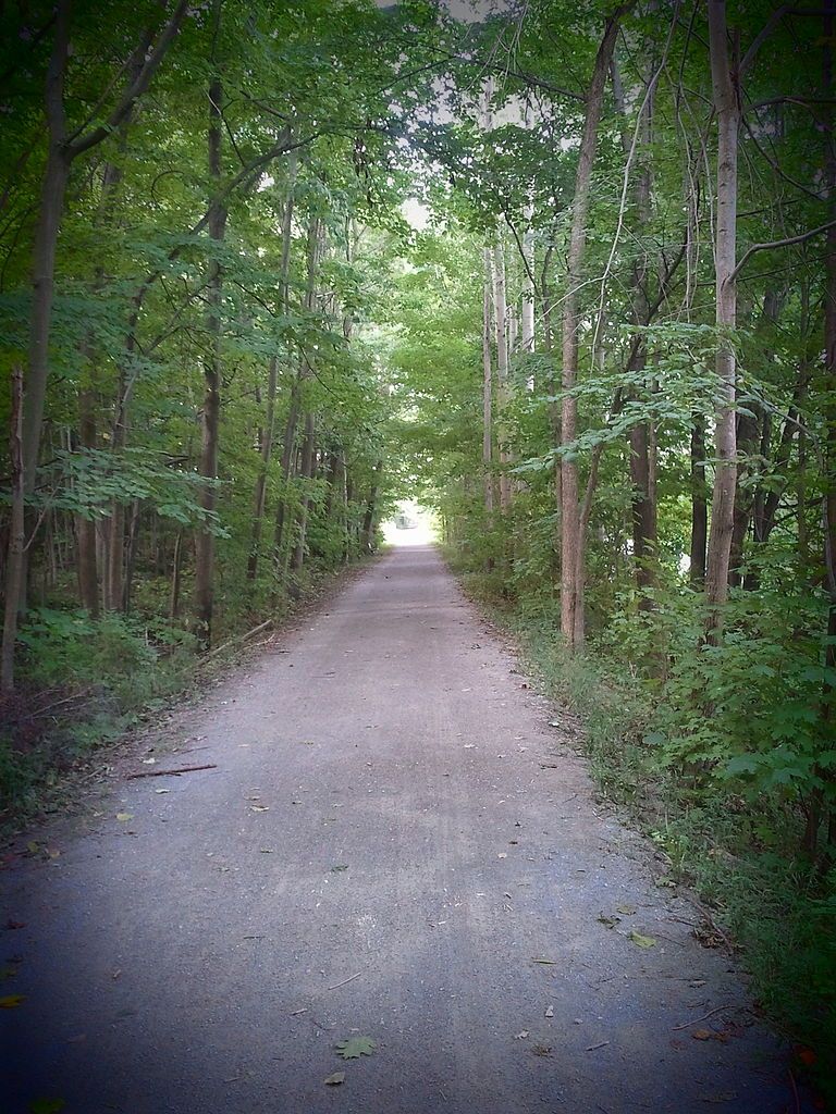 The Kal-Haven Trail State Park lined with trees