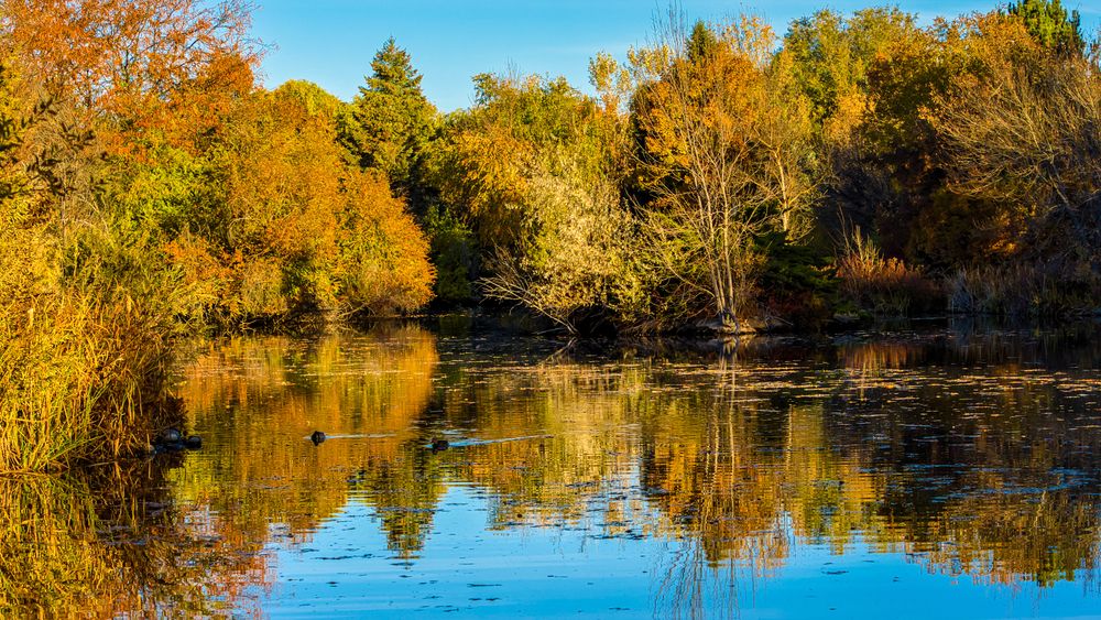 The waters of Kathryn Albertson Park