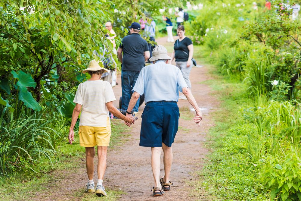 Visitors strolling around the Kenilworth Park & Aquatic Gardens